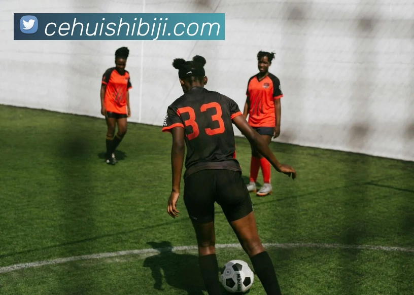 在线足球官网平台生态图